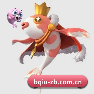 冰球直播 APP
