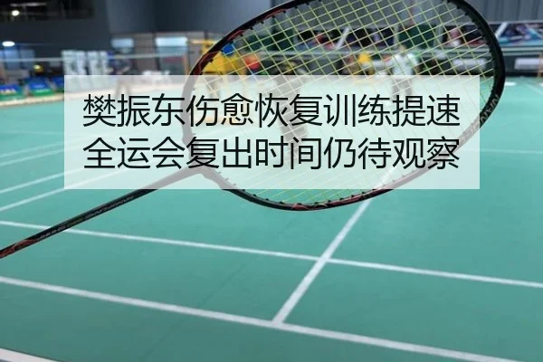 樊振东伤愈恢复训练提速 全运会复出时间仍待观察